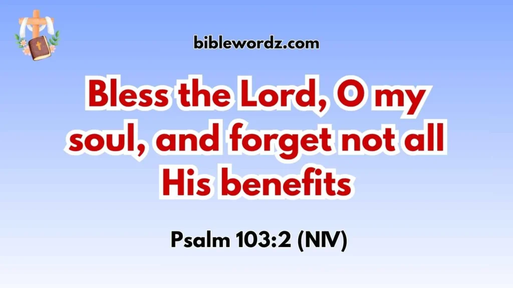 Bible Verses About Appreciation