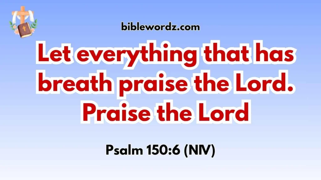 Bible Verses About Creation Praising God