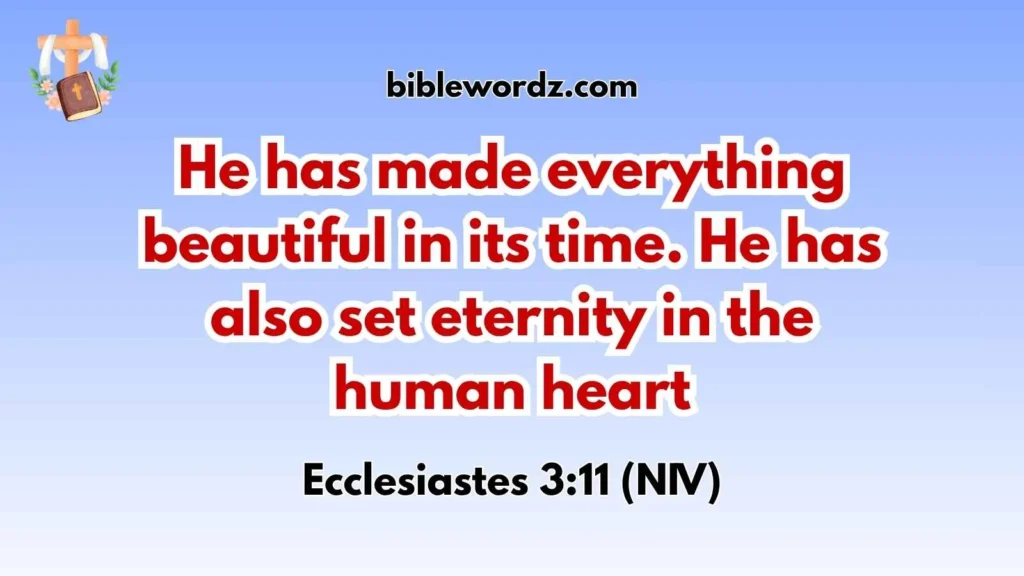 Bible Verses When You Feel Life Is Meaningless