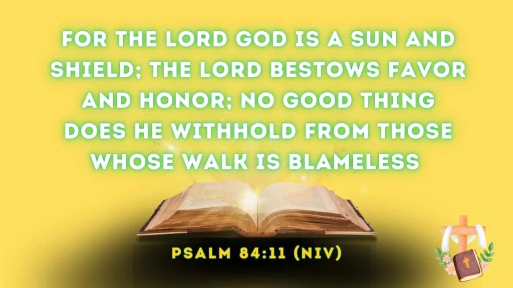 God’s Grace Verses