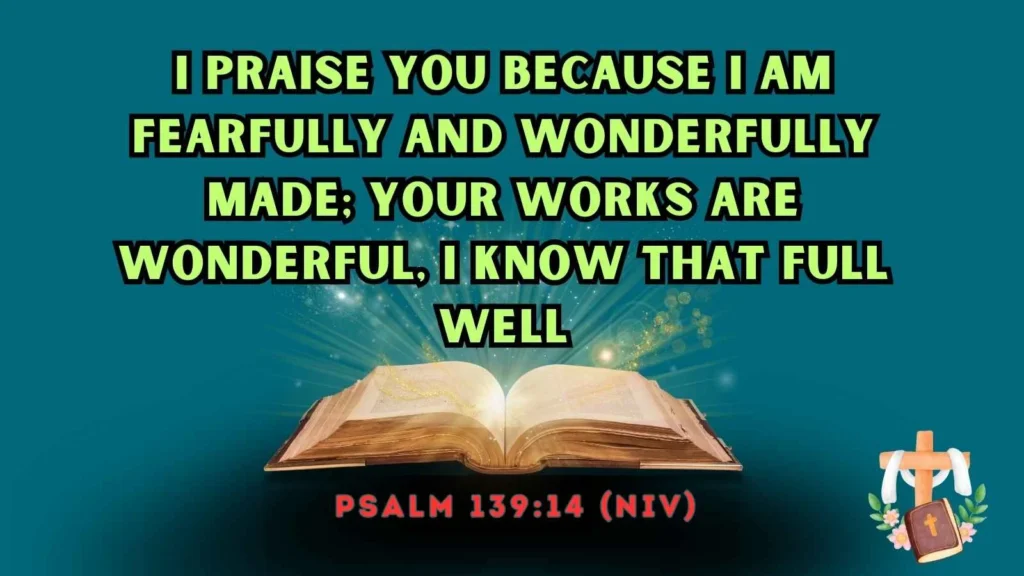 Acceptance Bible verse