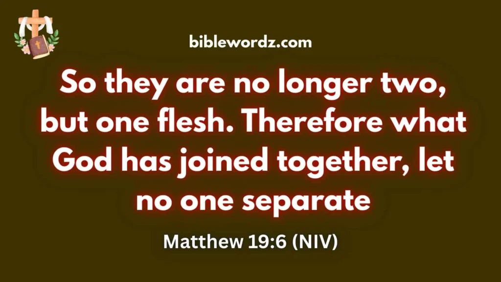 Bible Quotes About Divorce