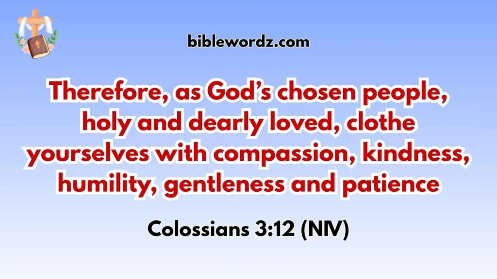 Bible Verses About Modesty in the New Testament