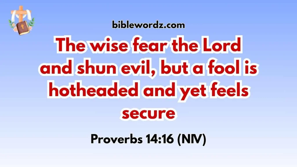 Bible Verses About Wisdom and Foolishness