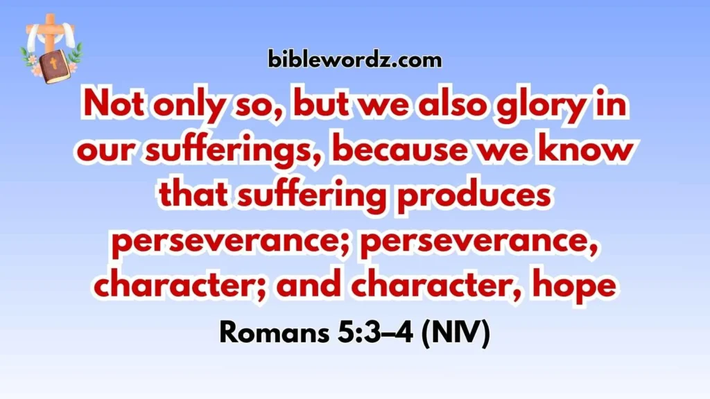 Perseverance Builds Character Bible Verse 