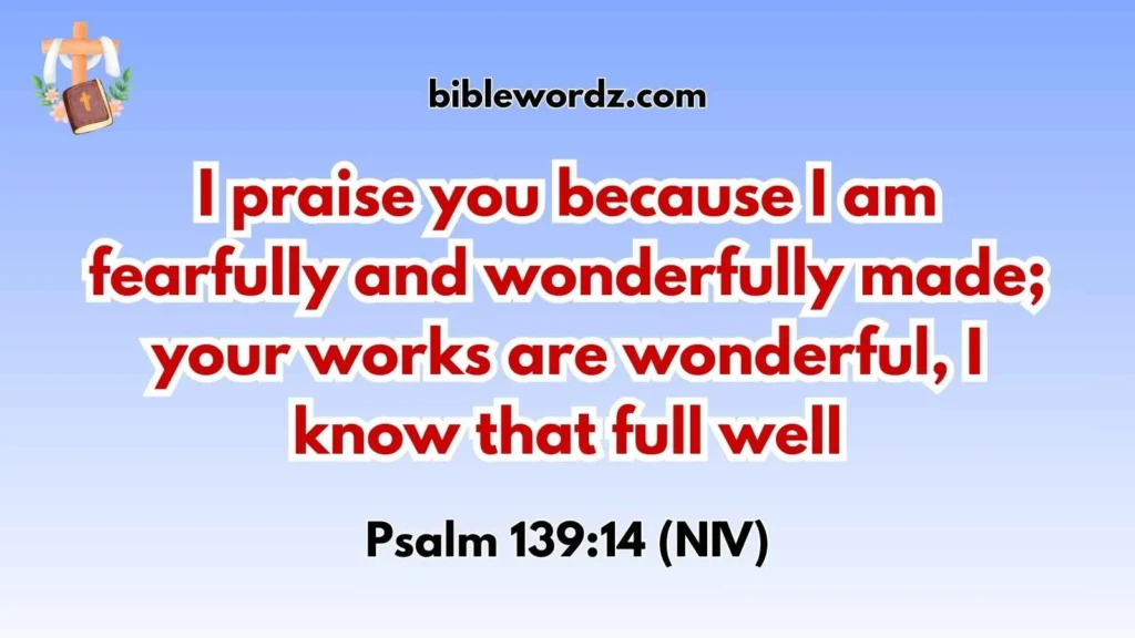 Self Esteem Bible Verse