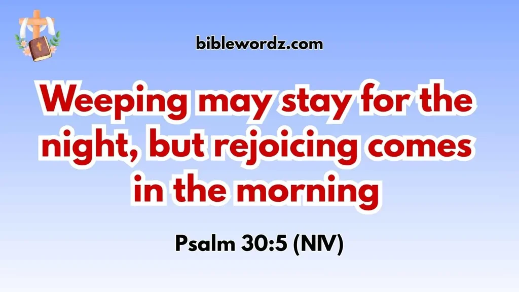 Sunshine After the Storm Bible Verse