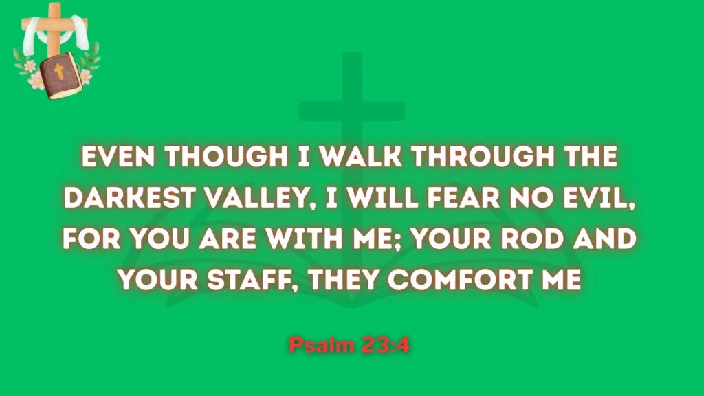 Comfort in Dark Valleys