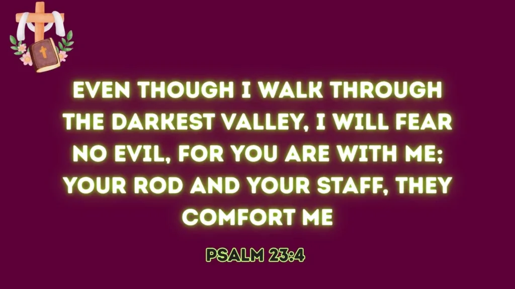 Comfort in the Valley