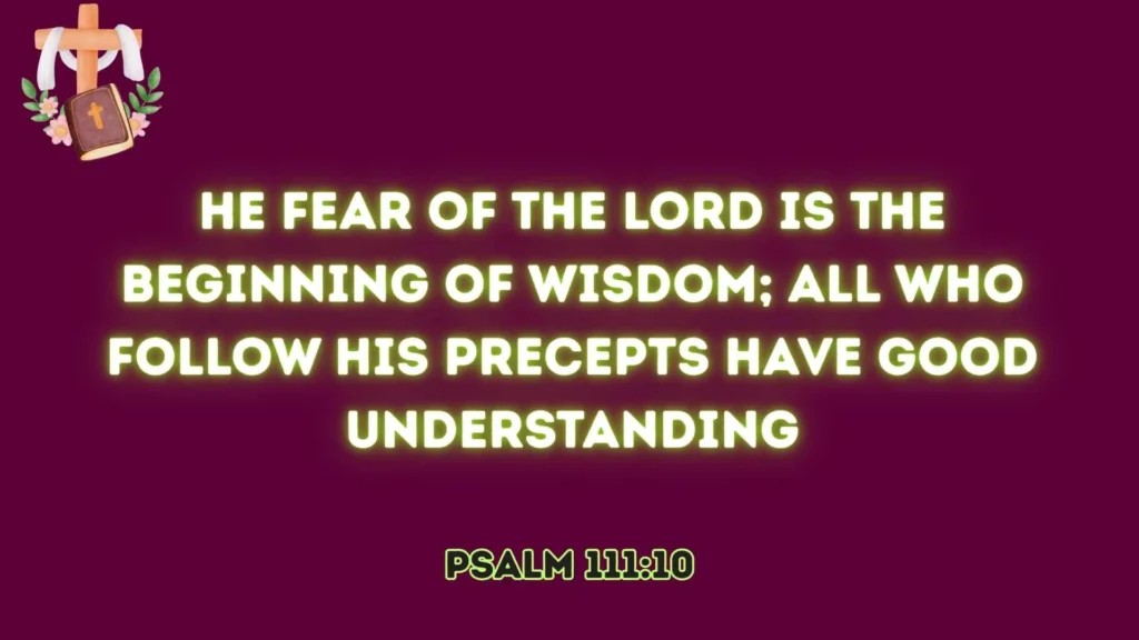 Fear of the Lord Leads to Understanding