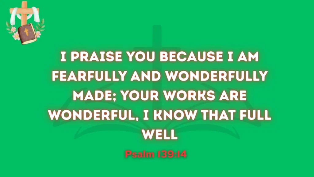 Fearfully and Wonderfully Made