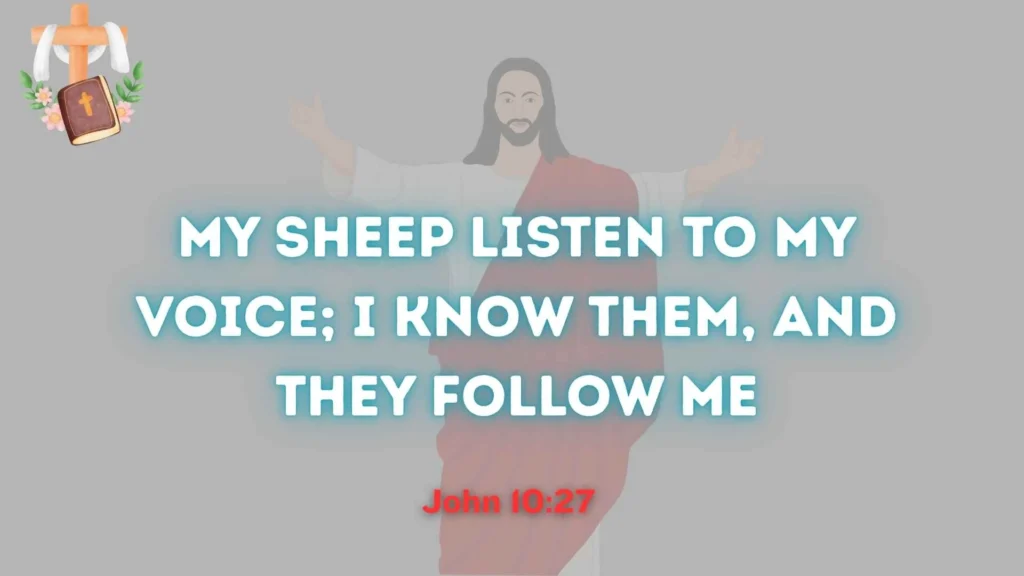 My Sheep Listen to My Voice