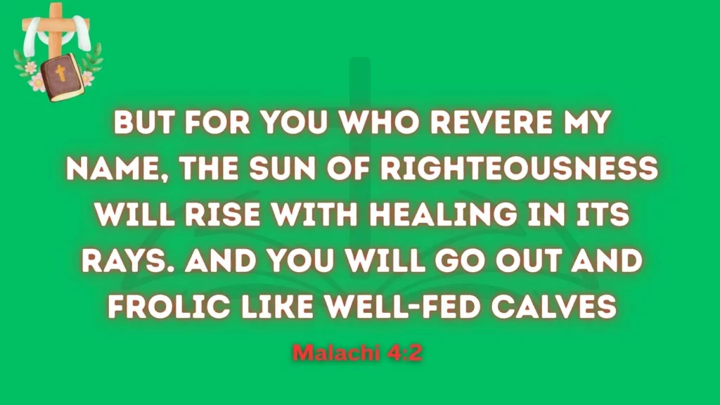 The Sun of Righteousness Will Rise