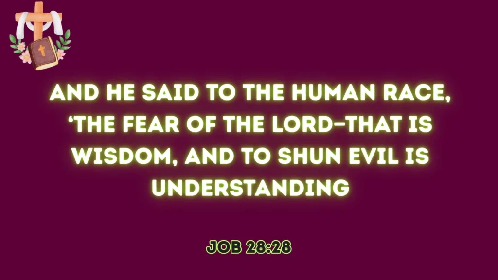 Wisdom Comes from Reverence