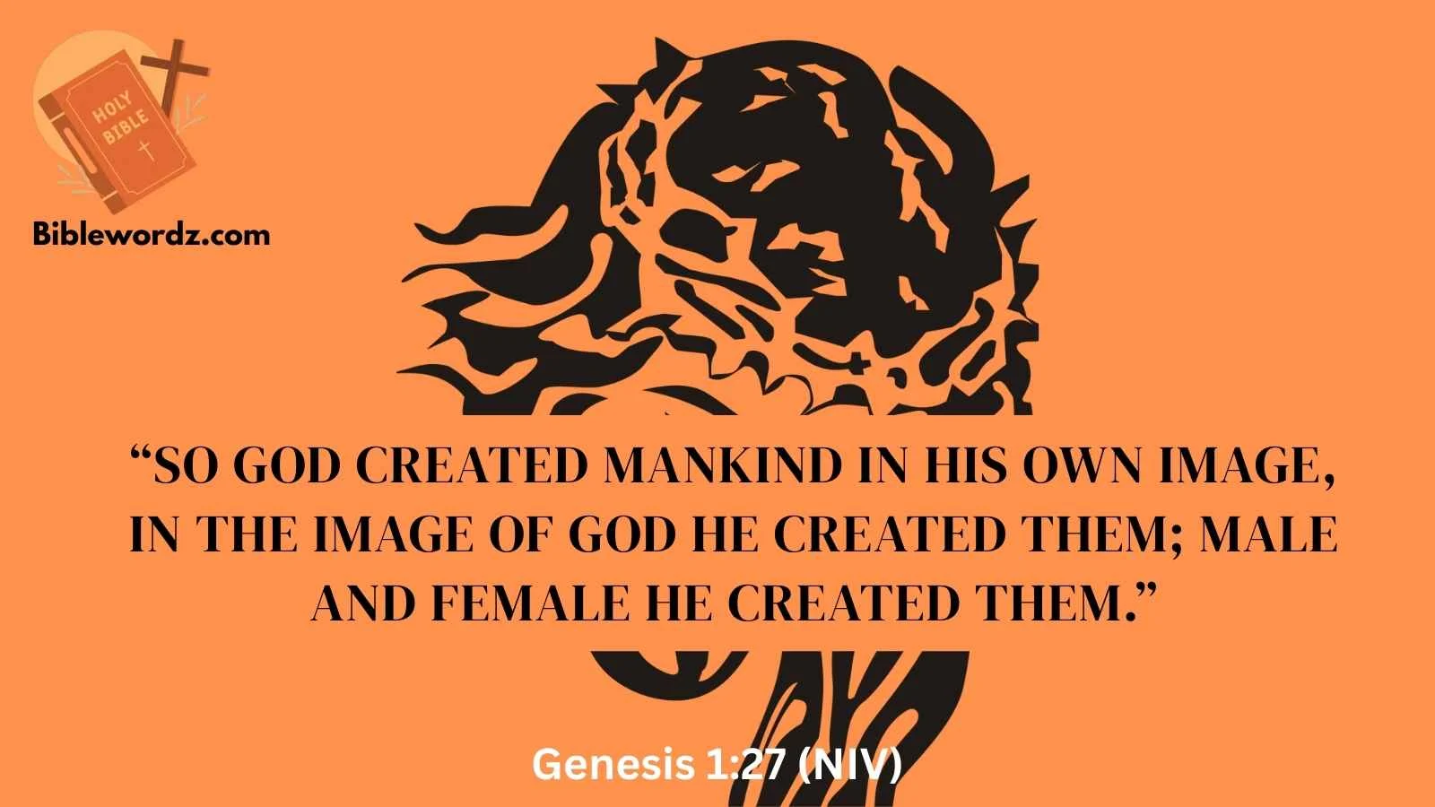 Bible Verses About Body Image