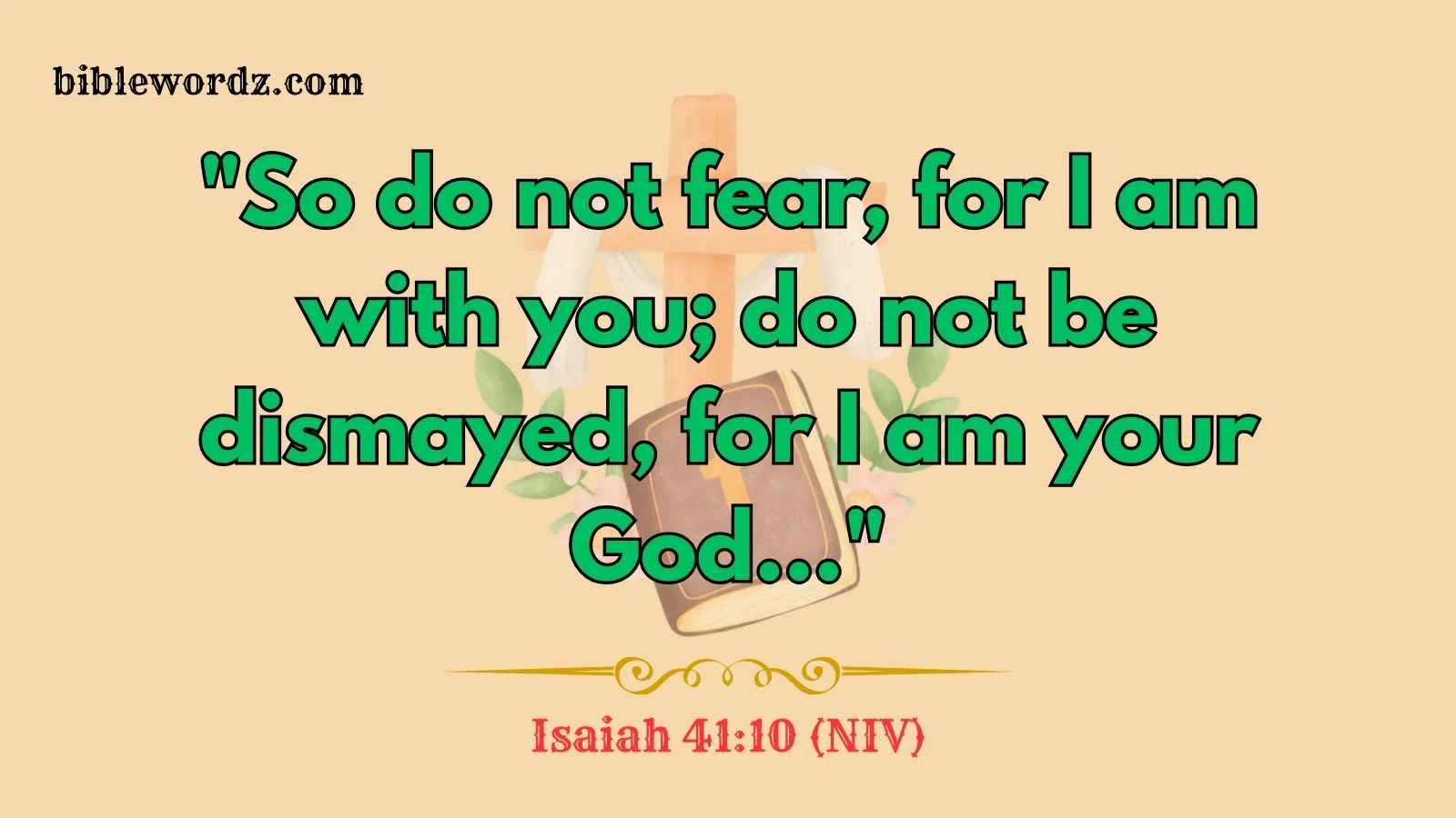 Bible Verses About Comfort