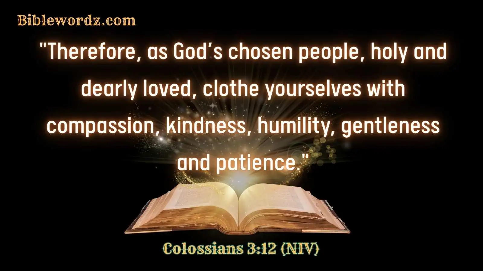 Bible Verses About Compassion