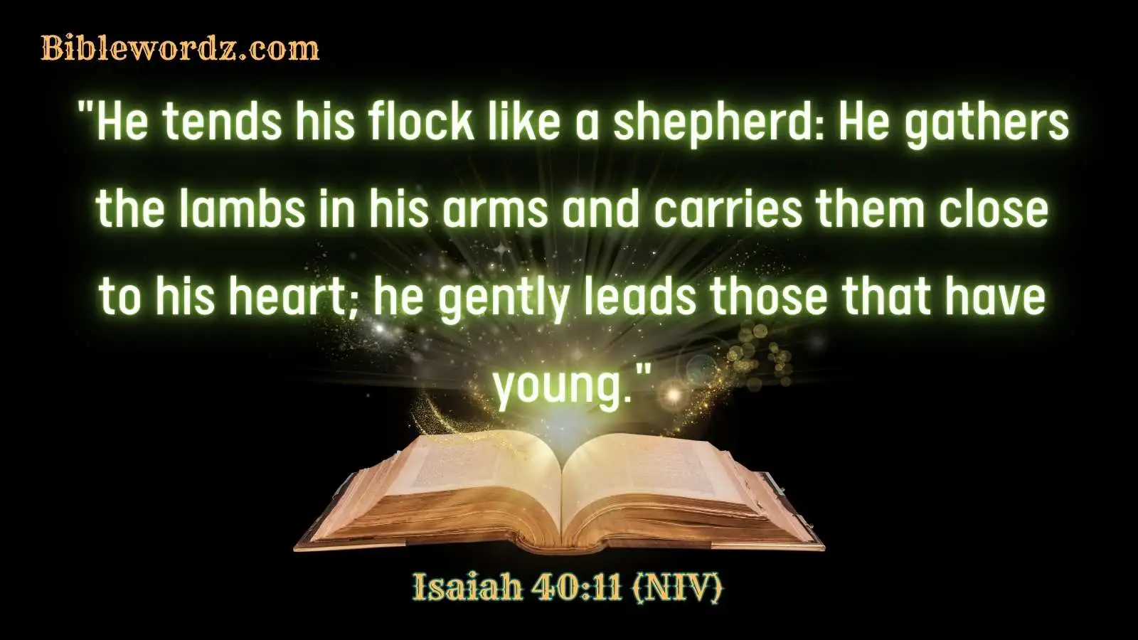 Bible Verses About Daughters