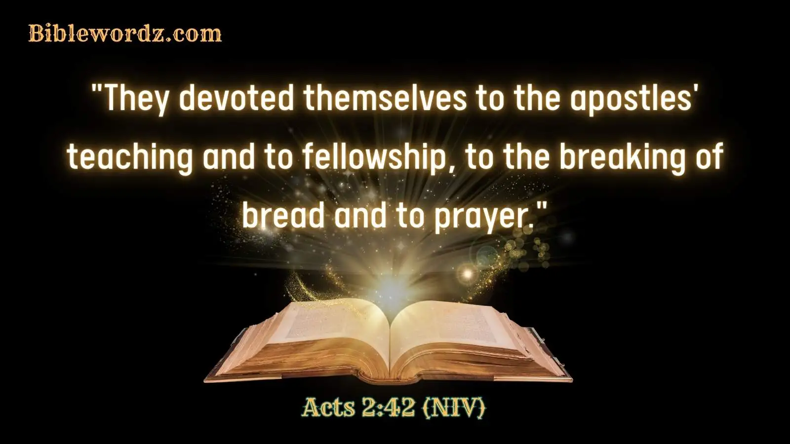 Bible Verses About Fellowship