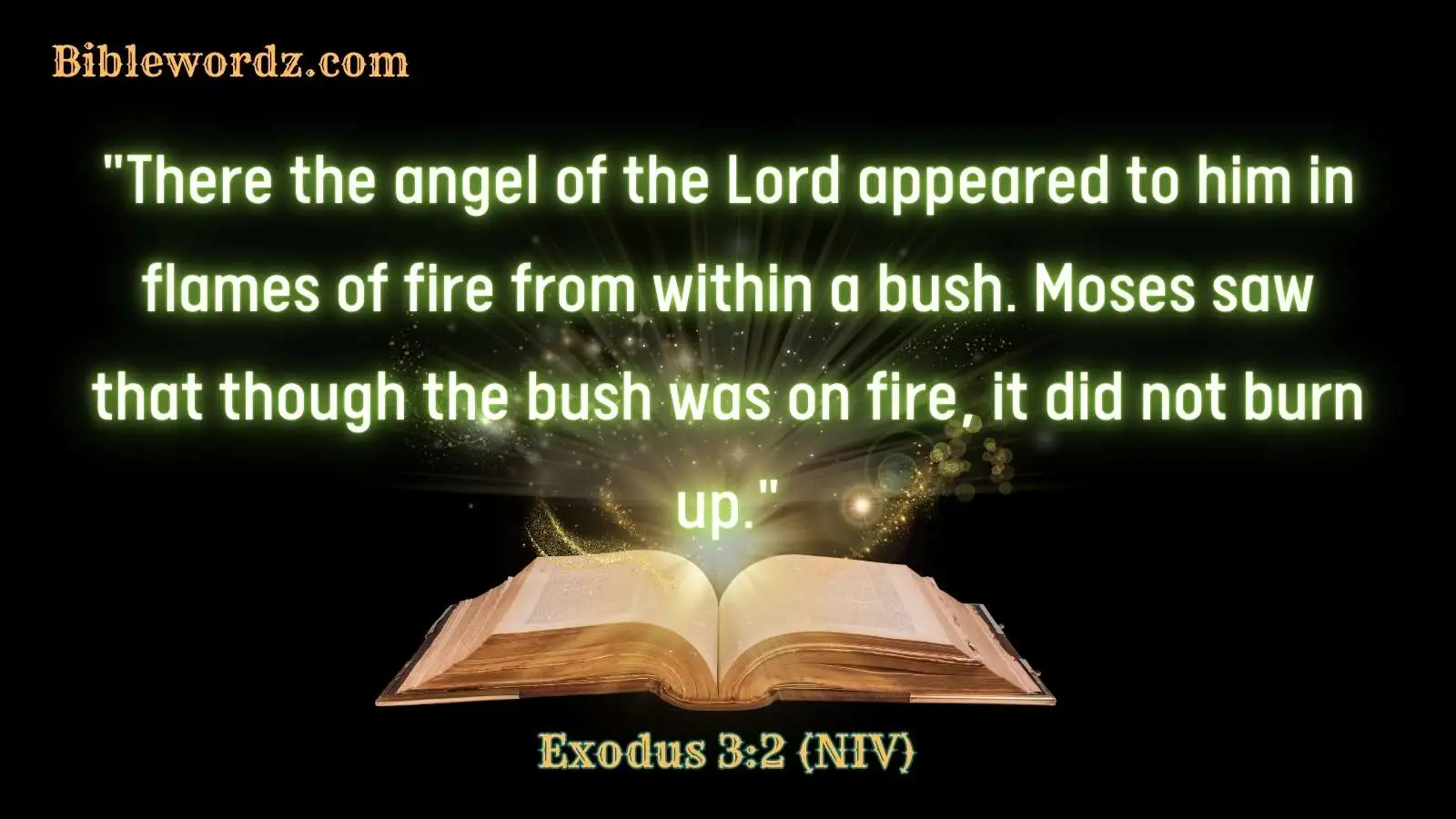 Bible Verses About Fire