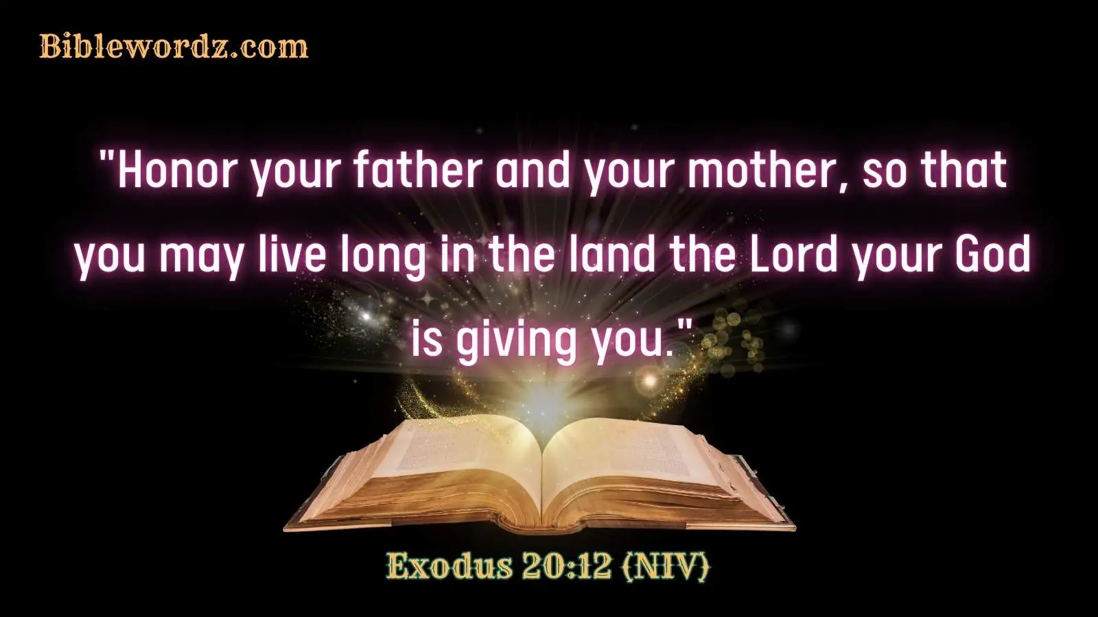 Bible Verses About Honor