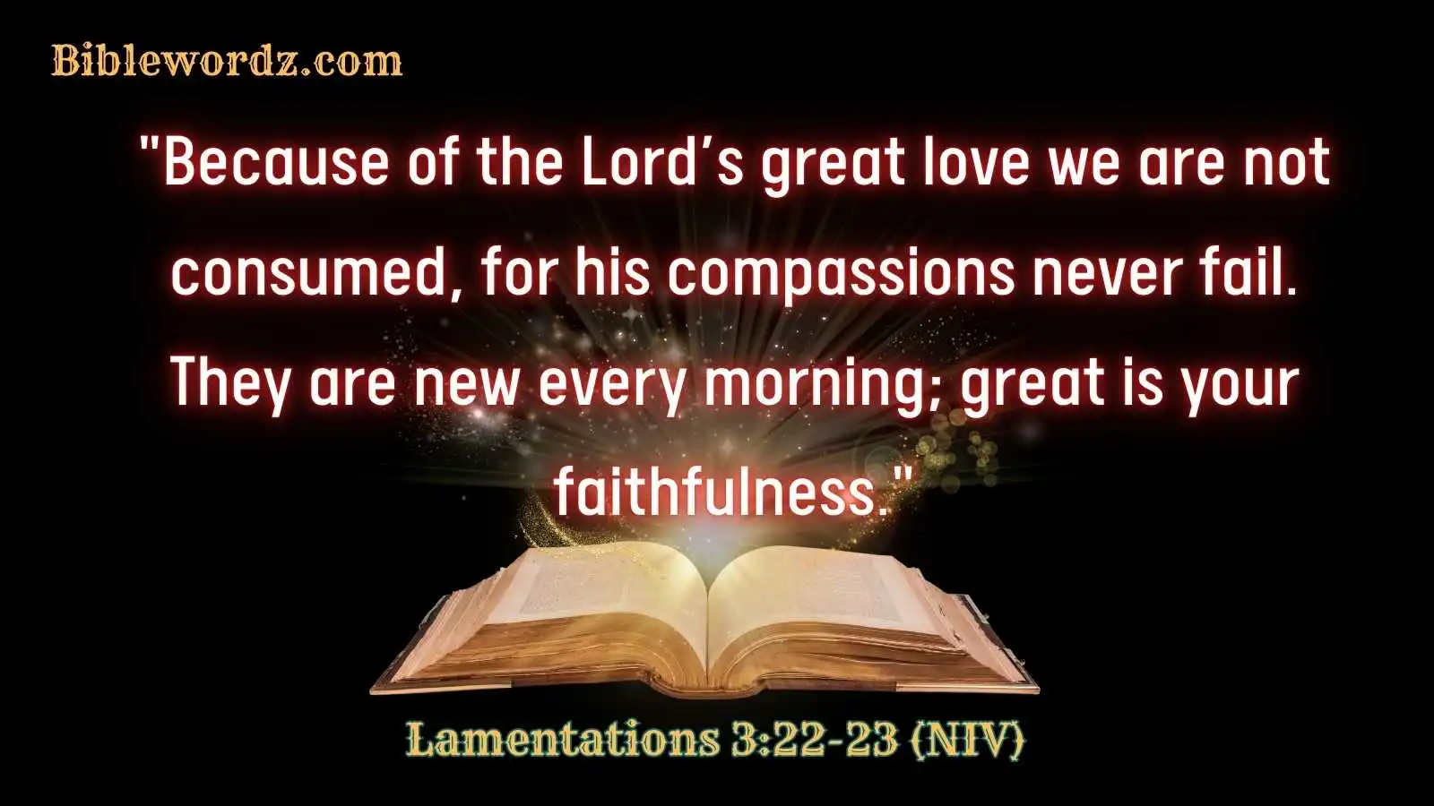 Bible Verses About Mercy