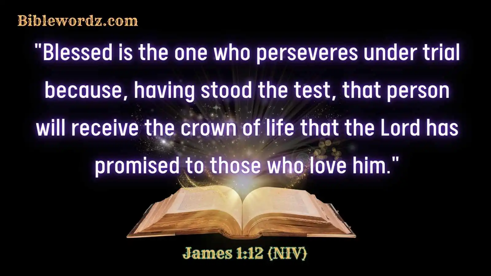 Bible Verses About Perseverance and Determination