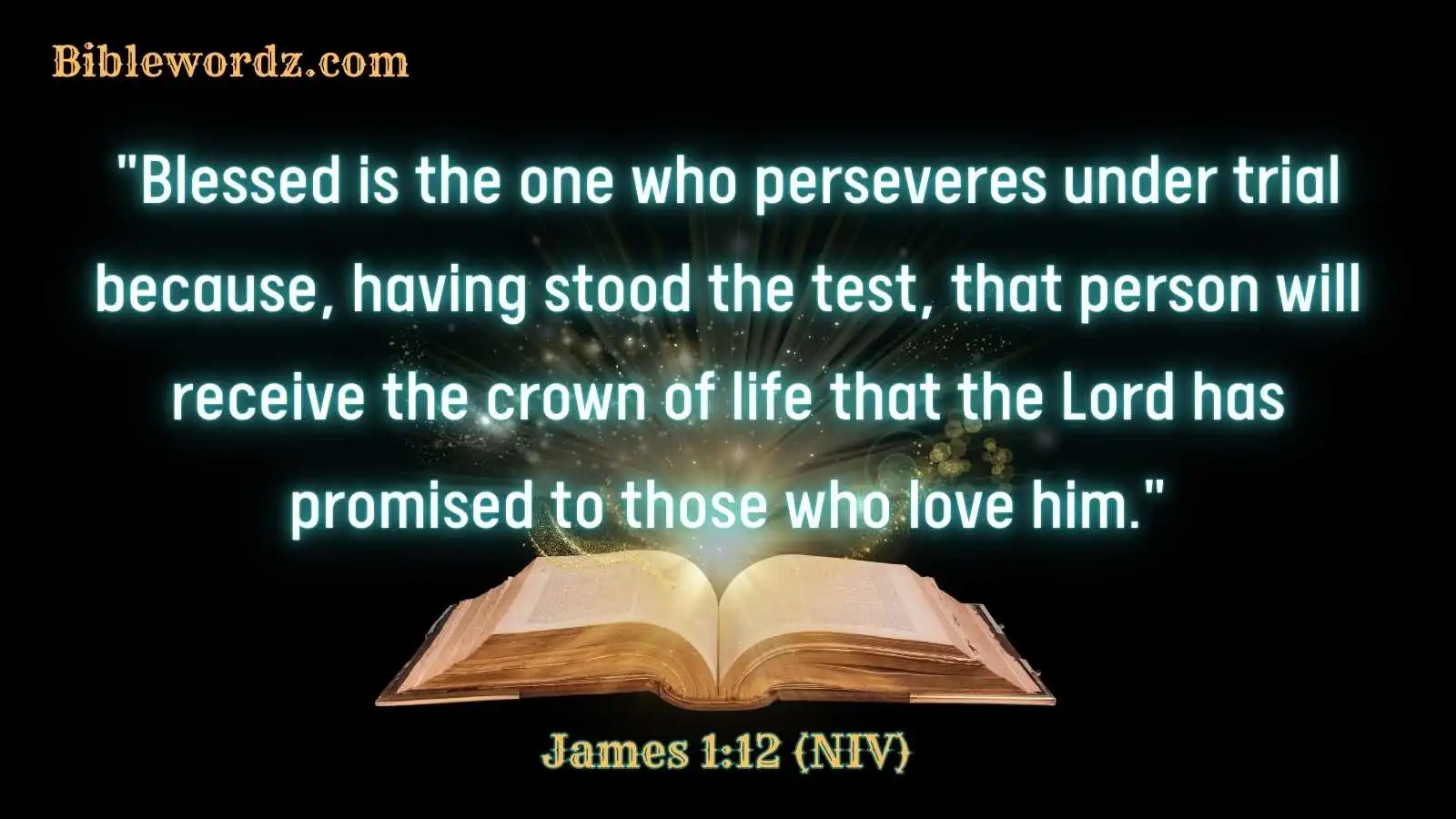 Bible Verses About Perseverance