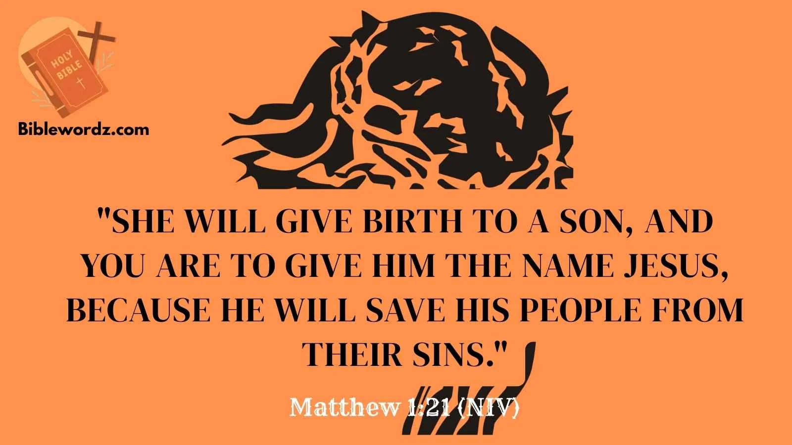 Bible Verses for Celebrating Christmas