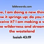 dreaming of being pregnant biblical meaning