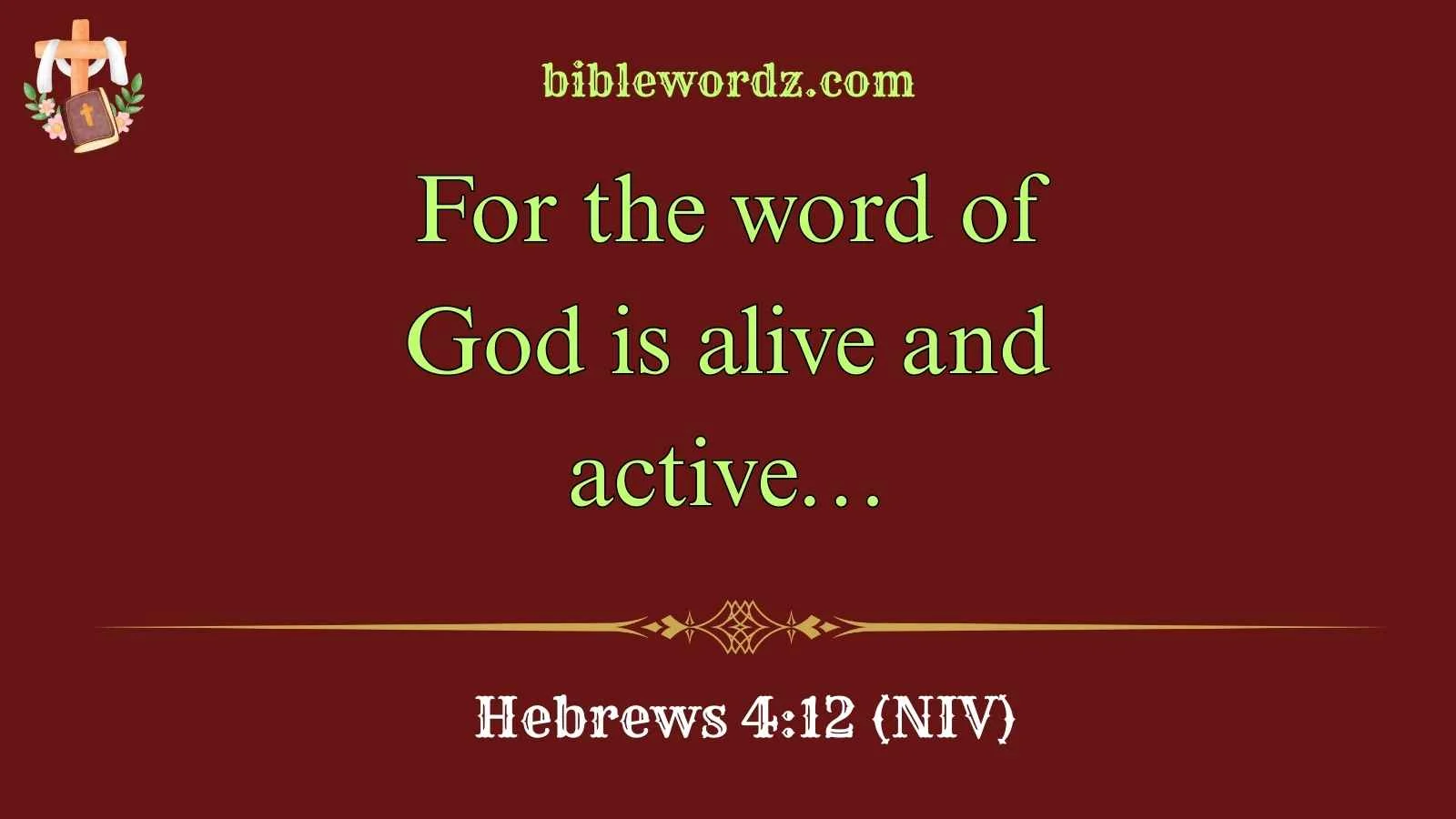 Best Bible for Beginners