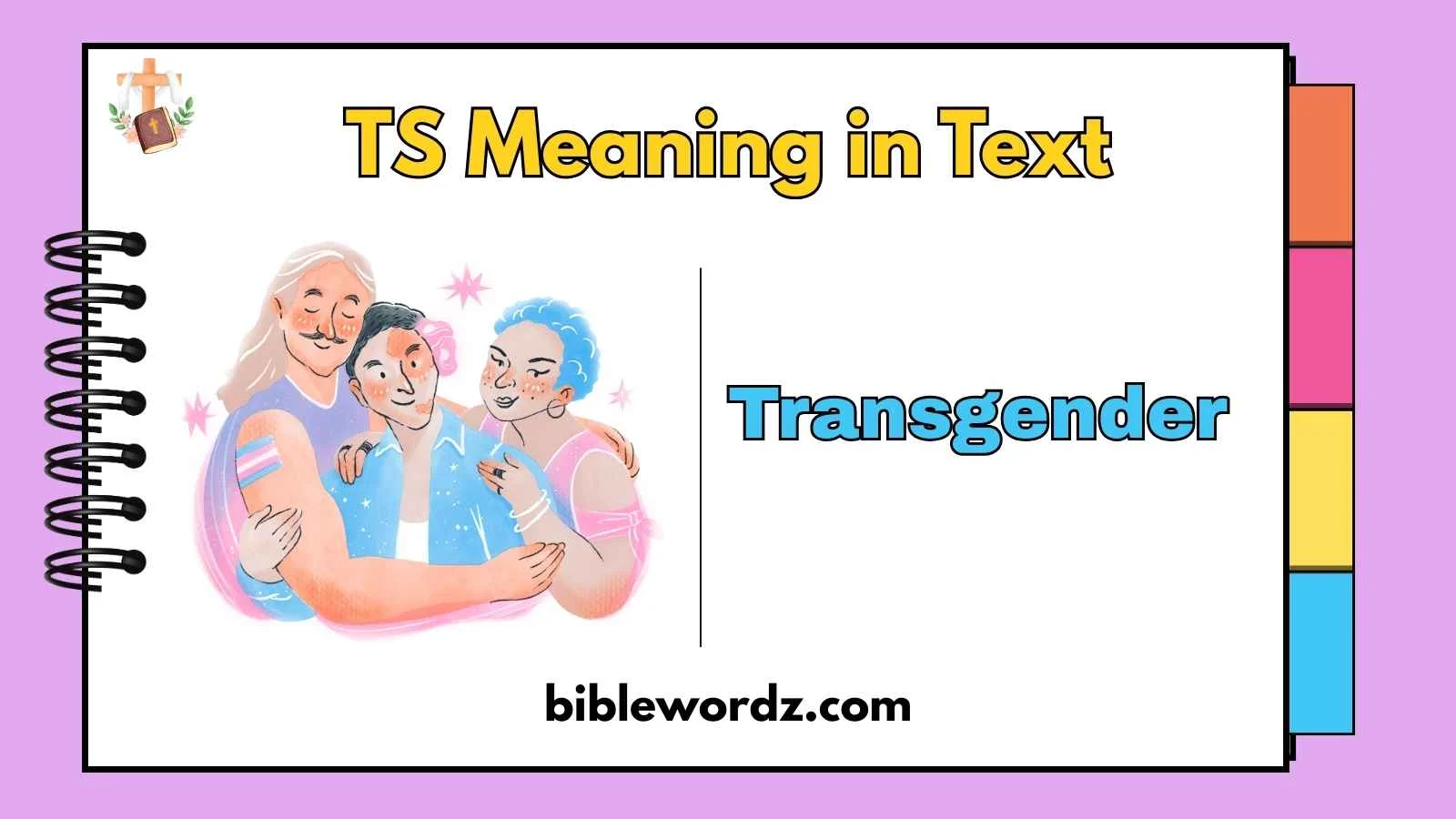 TS Meaning in Text